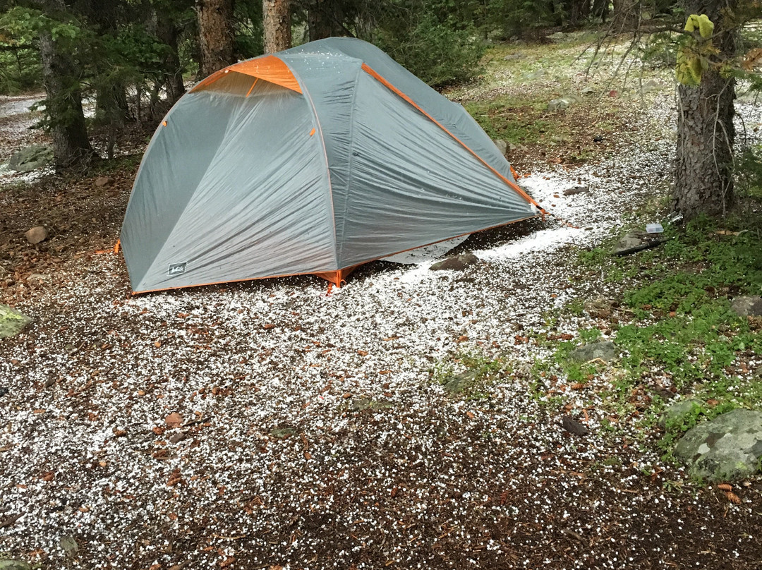 King's Peak-埃文斯顿必去景点