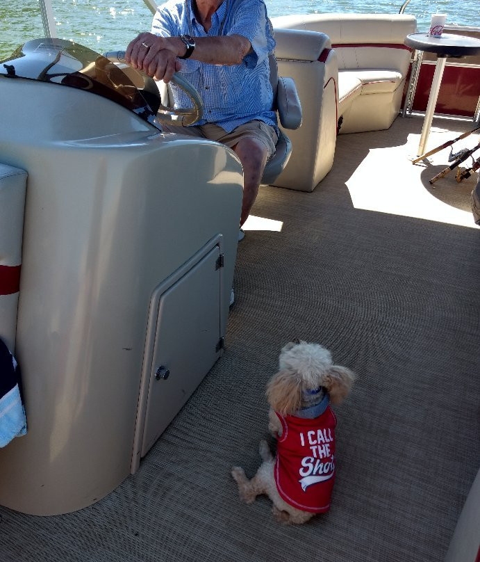 Kenlake State Resort Park - Lodging主图