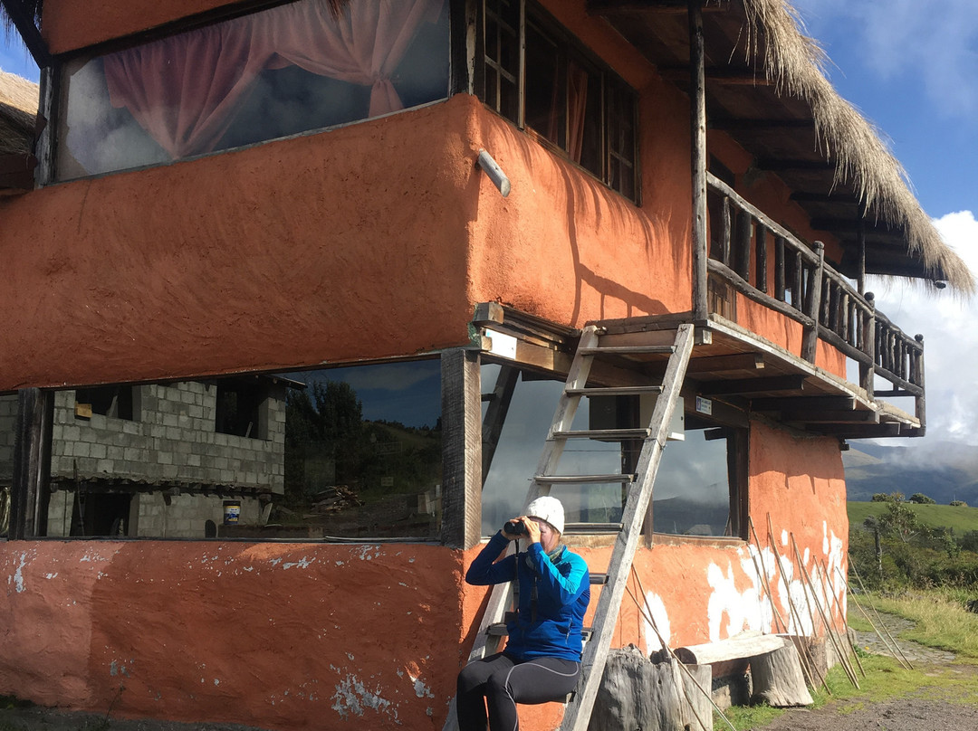 Mauca Pedregal主图