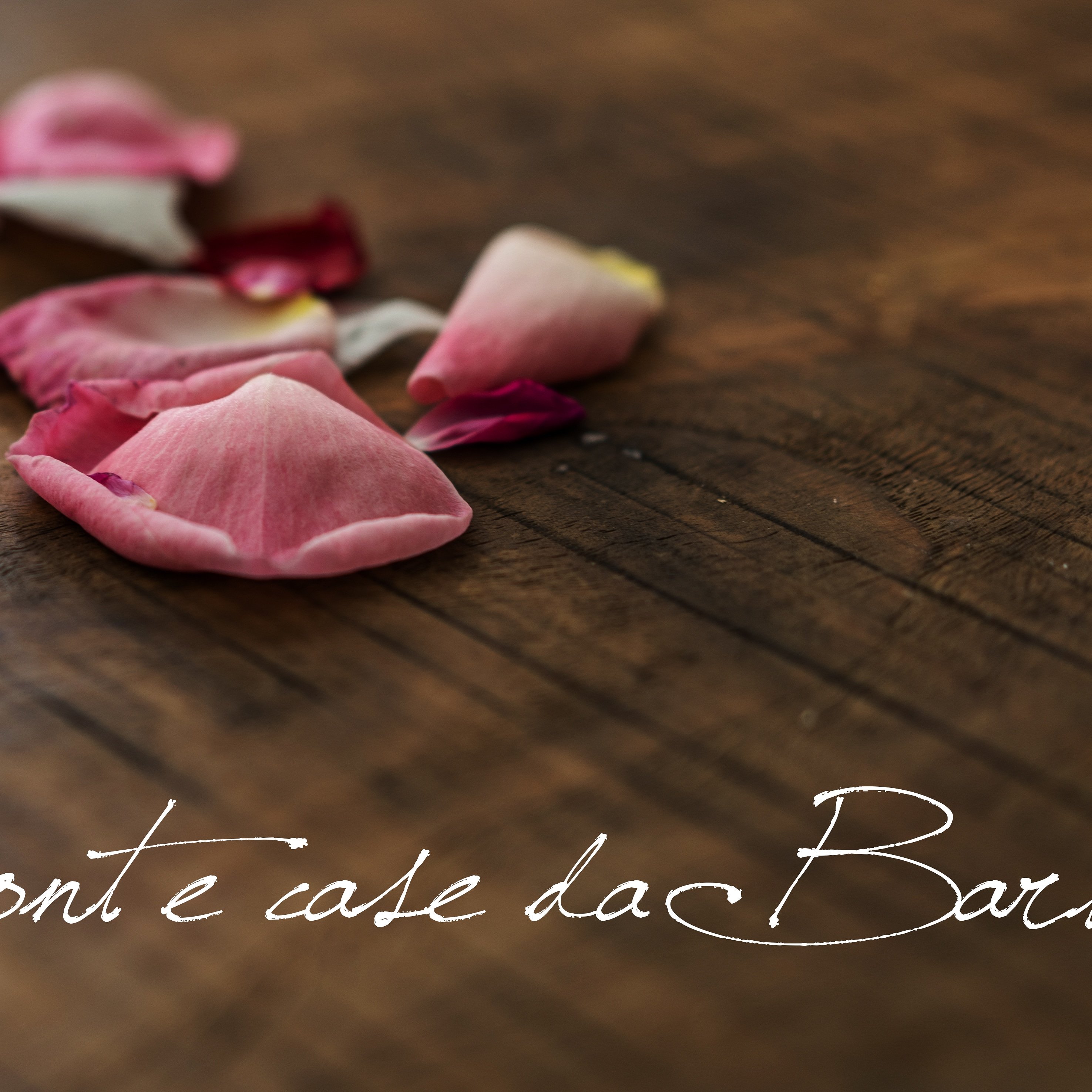 B&b Mont E Case Da Barbara-官方