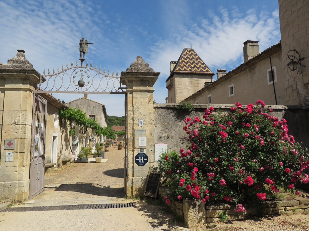 La Chartreuse de Valbonne景点图片