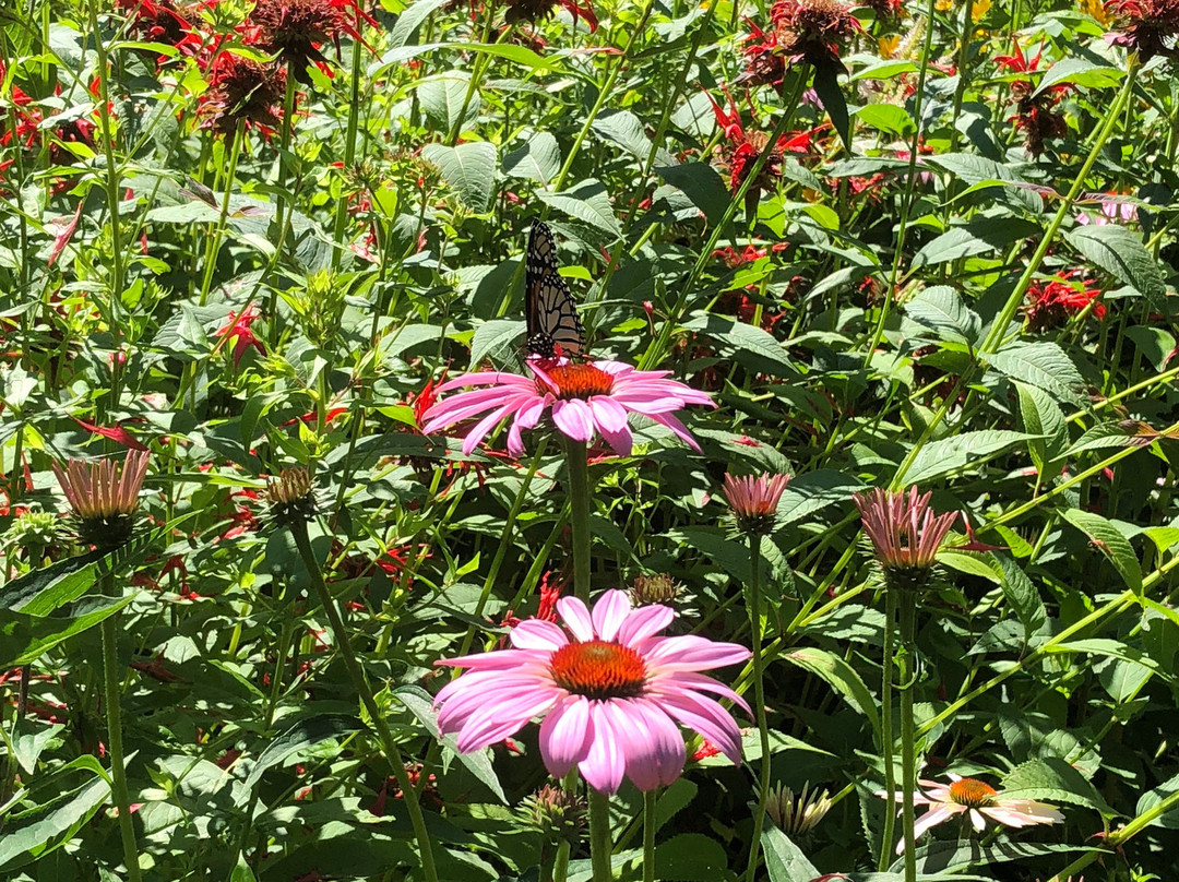 James L. Goodwin State Forest-Hampton必去景点