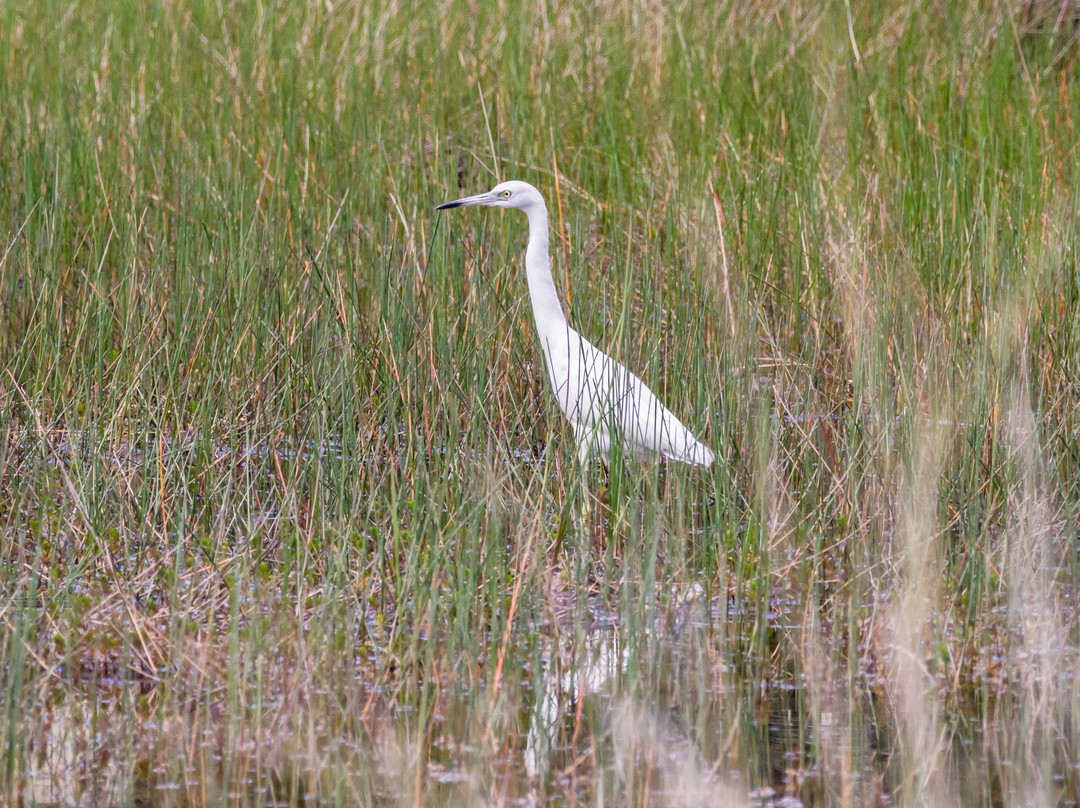 Turner River Road-奥乔皮必去景点