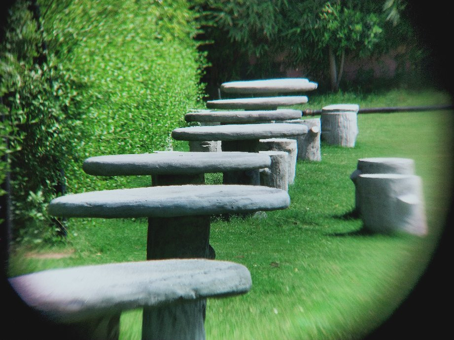 Nature Valley Resort主图