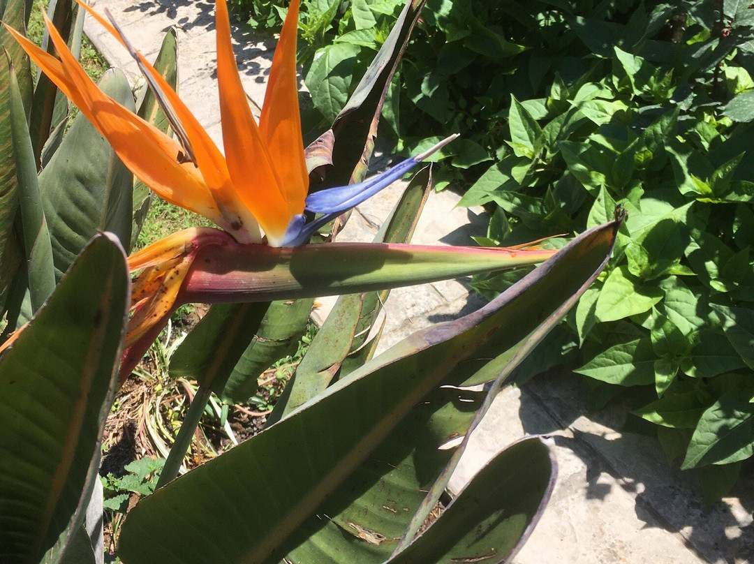 Angela Studios主图