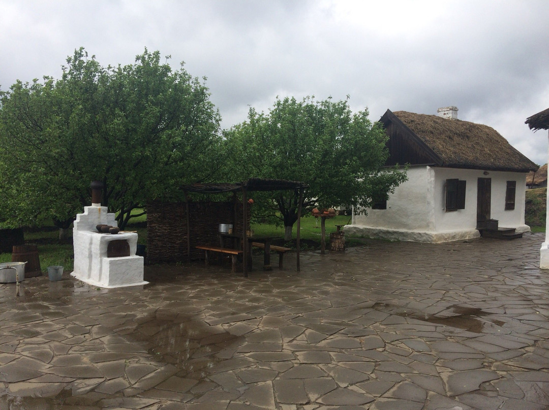 Sholokhov State Museum Preserve景点图片