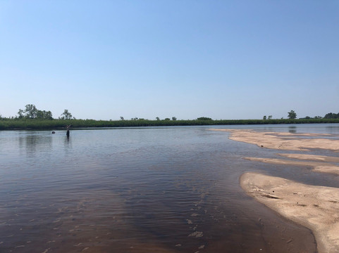 Kayak Charleston-查尔斯顿必去景点