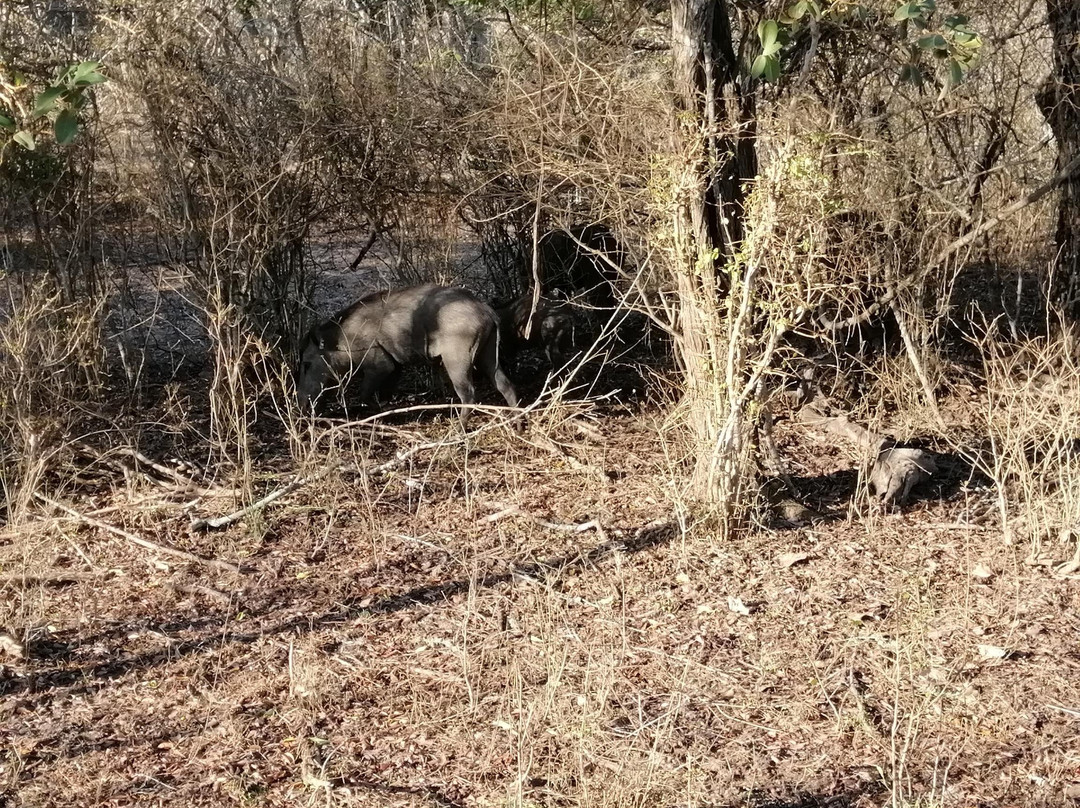 Uddhakandara酒店住宿-Hide Yala