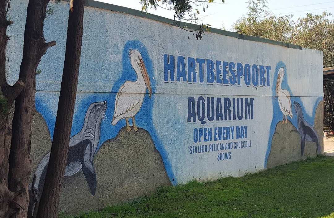 Hartbeespoort Aquarium景点图片