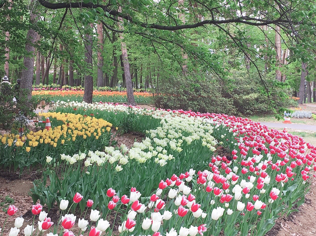 Shinshu Sky Park-松本市必去景点