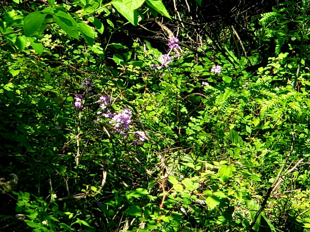 Bowdoin Park-Wappingers Falls必去景点