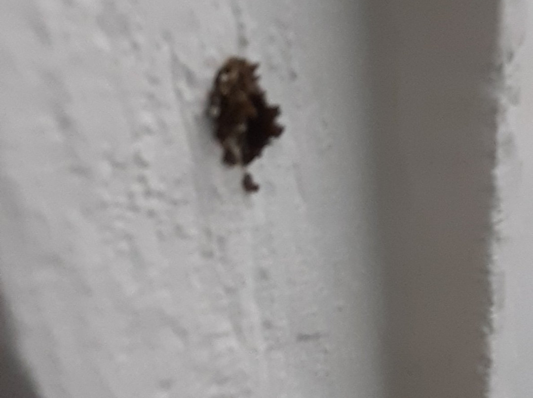 Zante Blue Beach Hotel主图