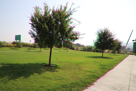 Lewis & Clark Festival-The Dalles必去景点