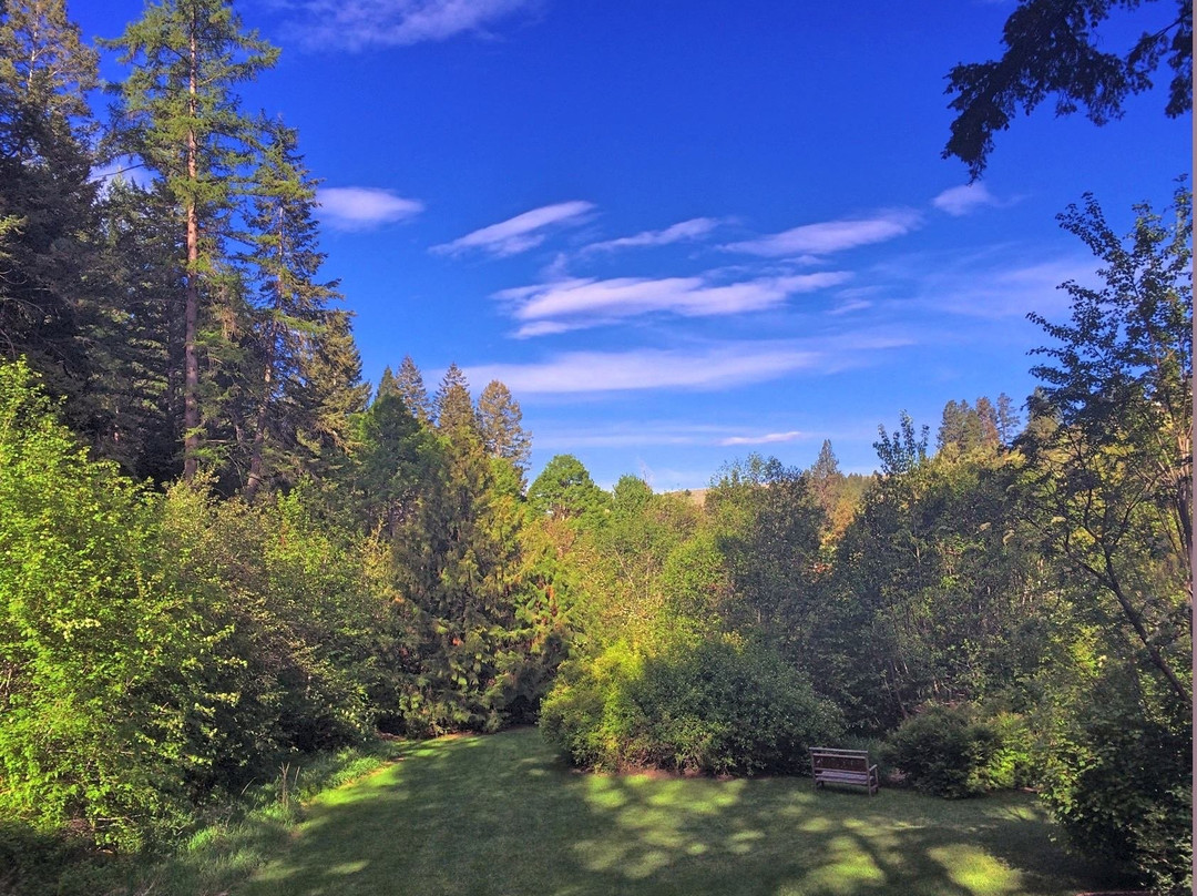 Butler Creek Lodge主图