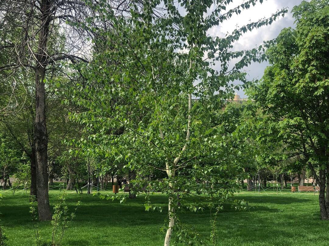 Pobedi Park-伏尔加格勒必去景点