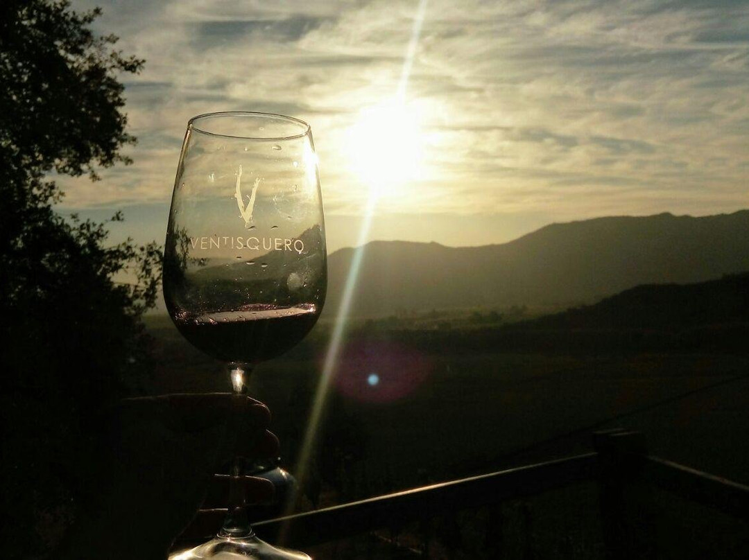 Viña Ventisquero - Mirador La Roblería-圣克鲁斯必去景点