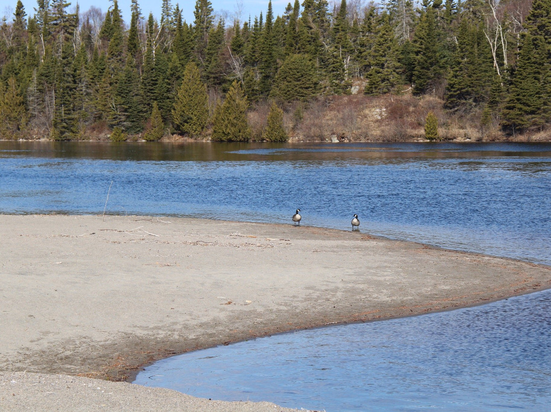 Terrace Bay Beach-Terrace Bay必去景点