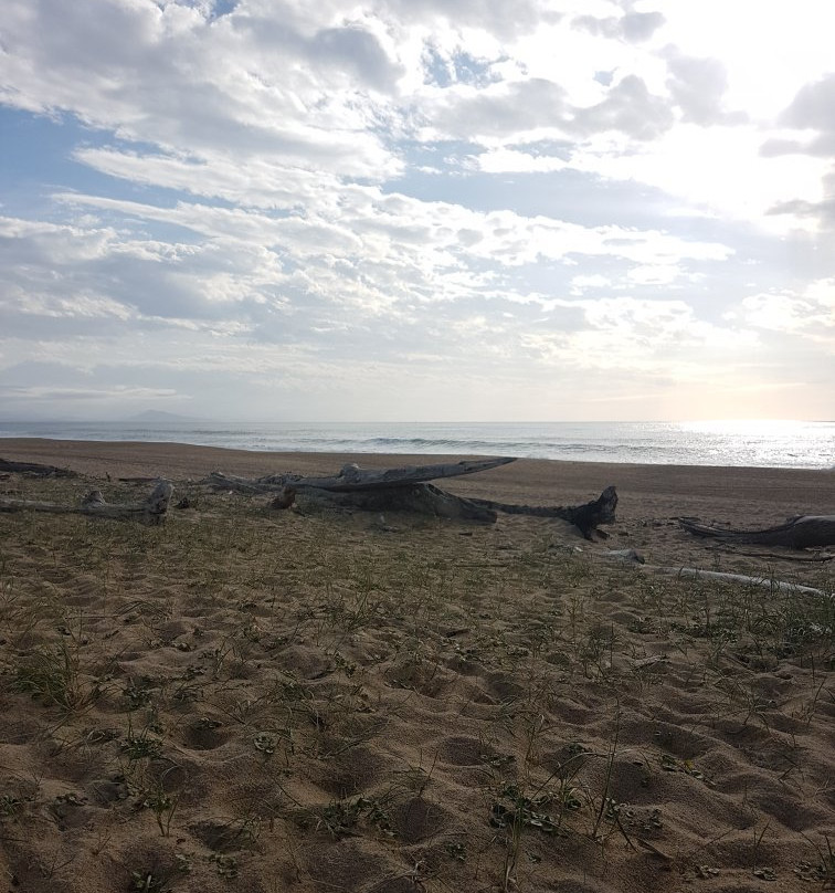 Beach of Tarnos-Tarnos必去景点