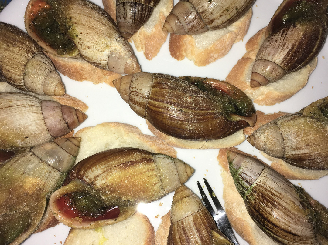 Gite NATAIWATCH主图