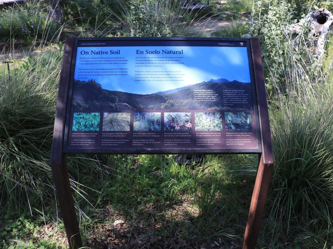 Foothills Visitor Center-Three Rivers必去景点