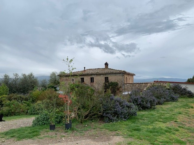 San Polino Winery景点图片