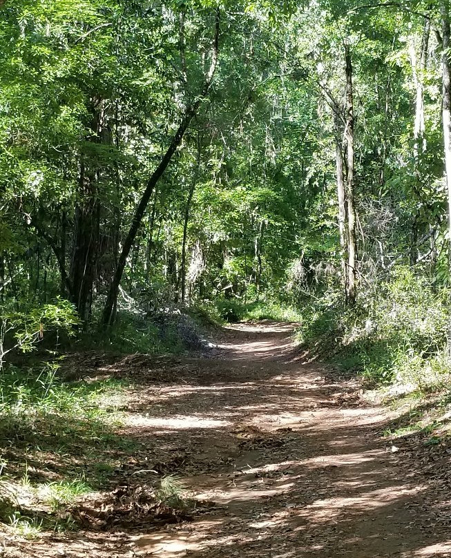 Lake Overstreet Trail-塔拉哈西必去景点