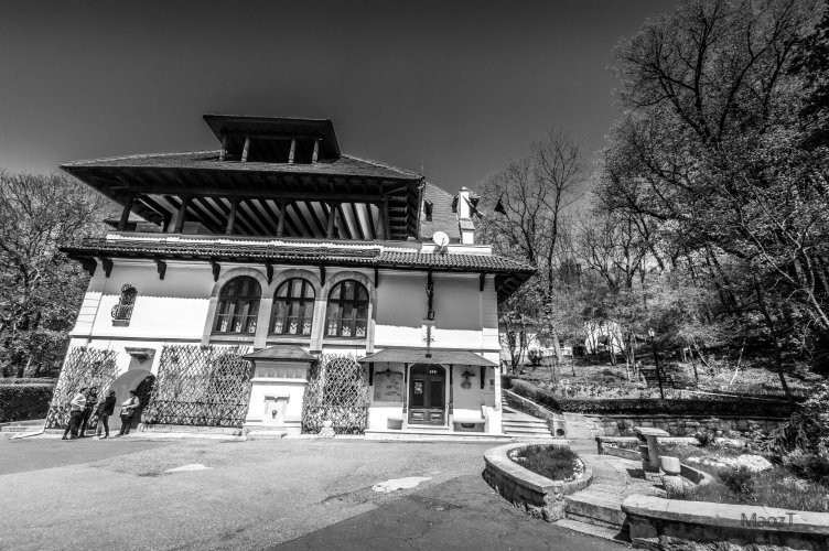 National Museum Bratianu - Vila Florica景点图片