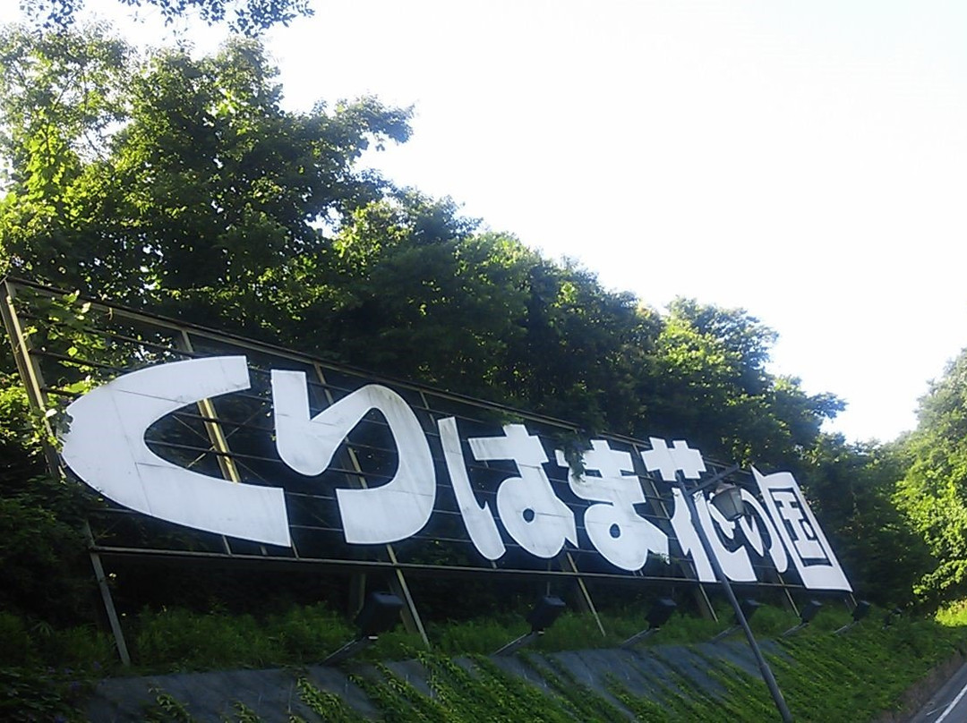 Kurihama Flower Park景点图片
