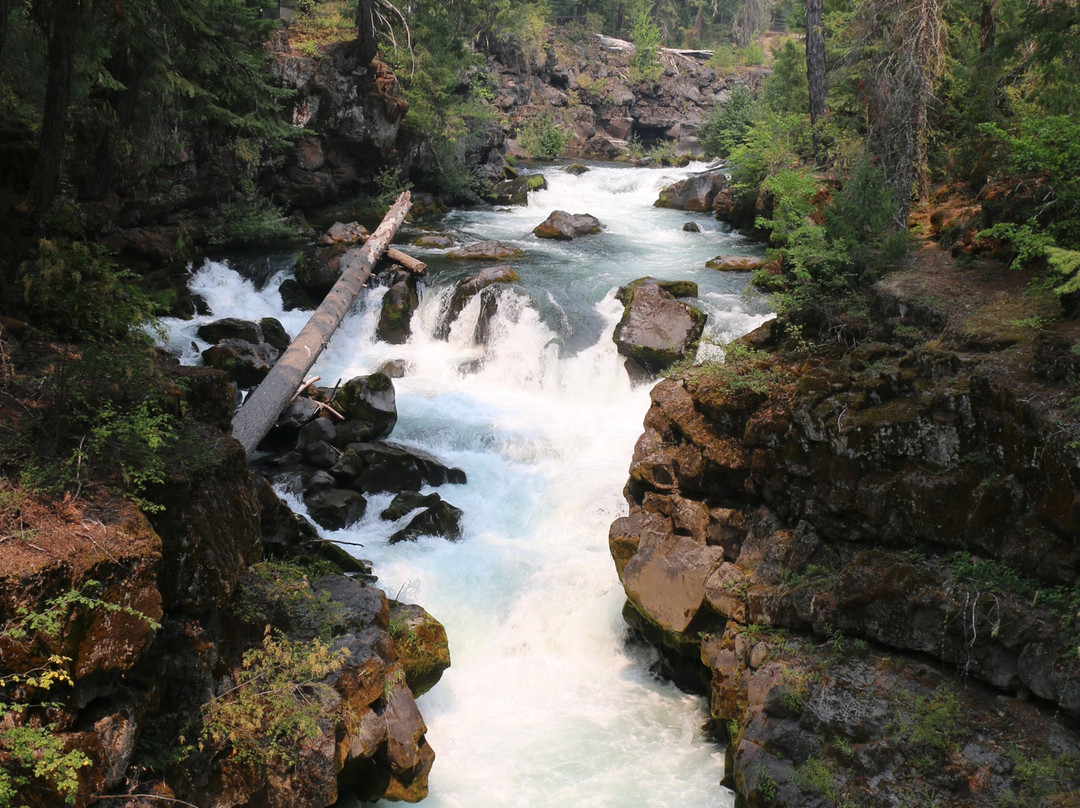 Natural Bridge Viewpoint-Prospect必去景点
