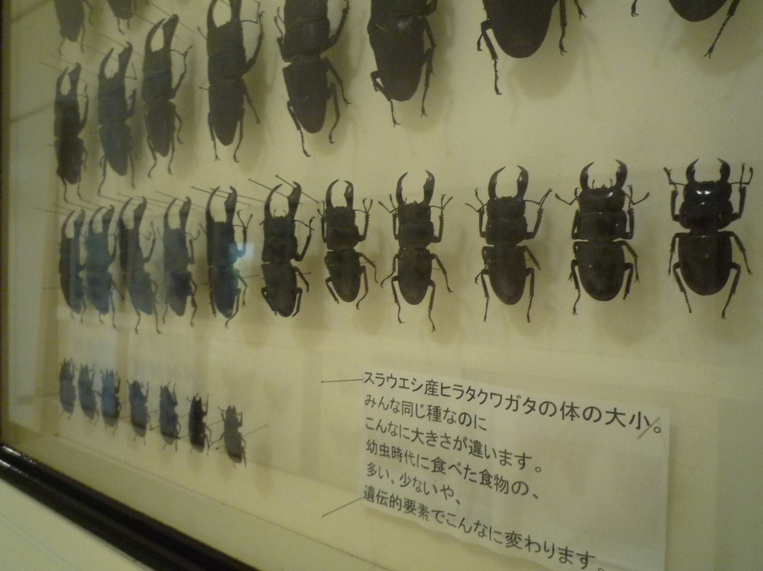 L'Oustal del Felibre di Tavan-Sendagi必去景点