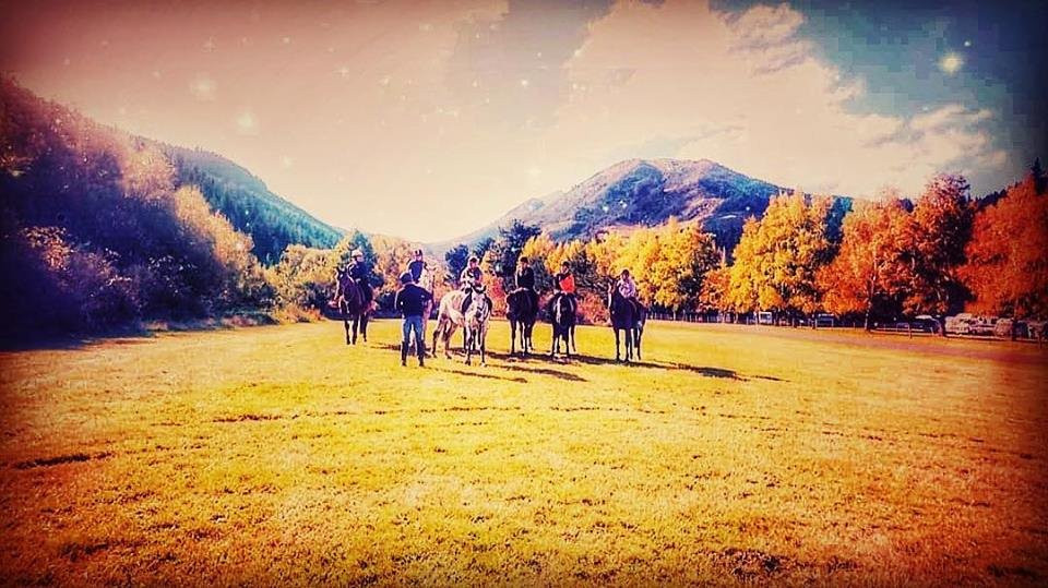 Hanmer Horse Trekking景点图片