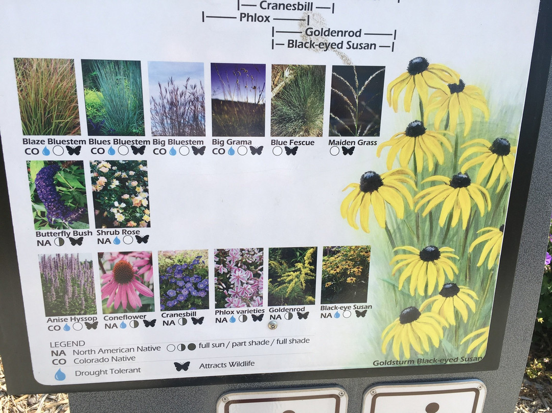 Mehaffey Park-拉夫兰必去景点