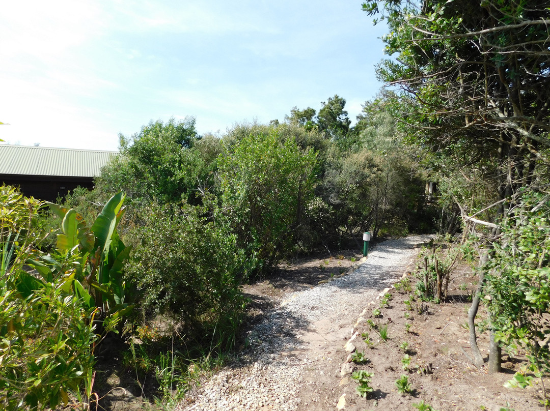 Elephant Hide Of Knysna Guest Lodge主图