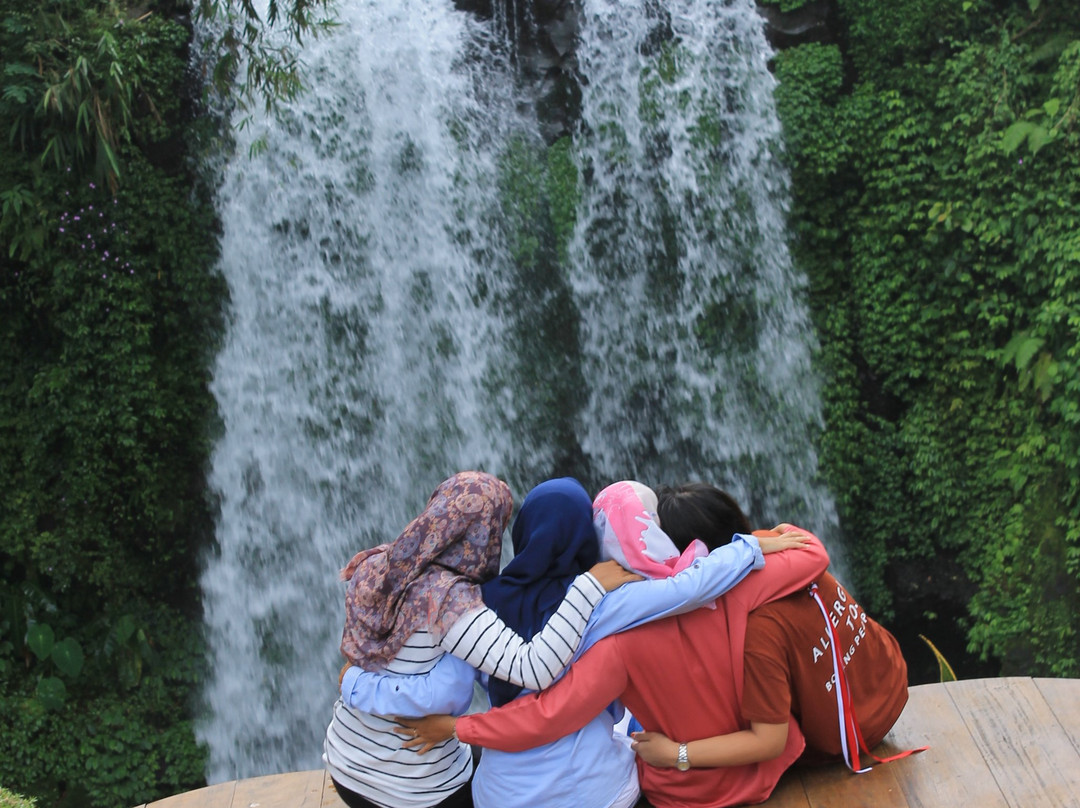 Jenggala Waterfall景点图片