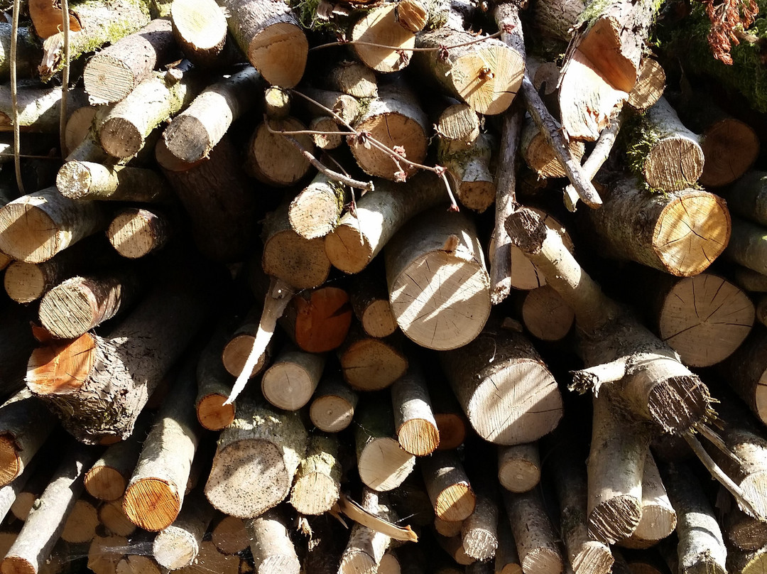 Sand-Sidbury必去景点