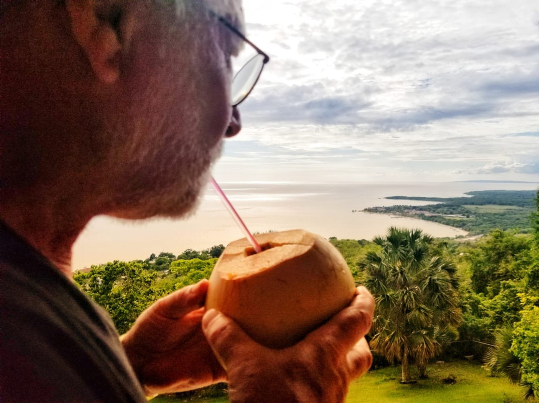 Elaines' Chateau主图