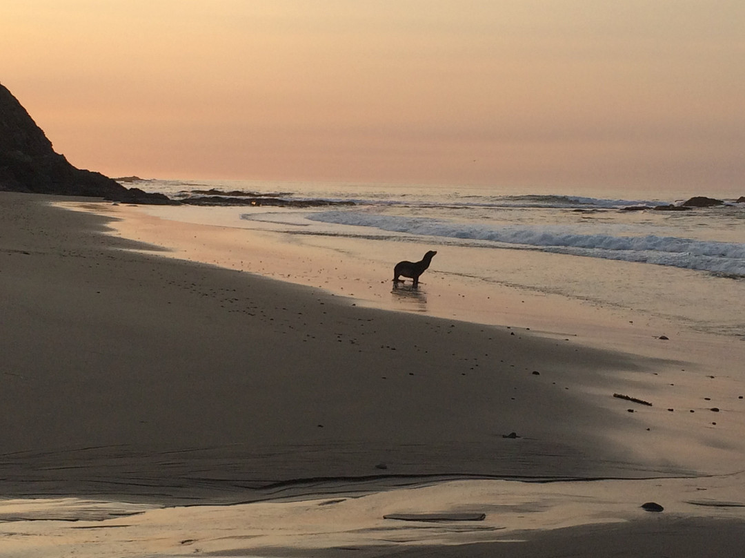 Whale Watch Inn By The Sea主图