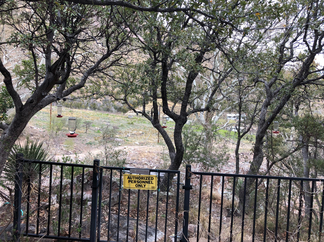 Beatty's Miller Canyon Apiary & Orchard景点图片