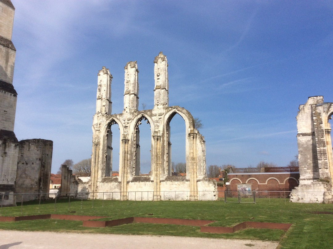 Ruines de l'Abbaye Saint-Bertin景点图片