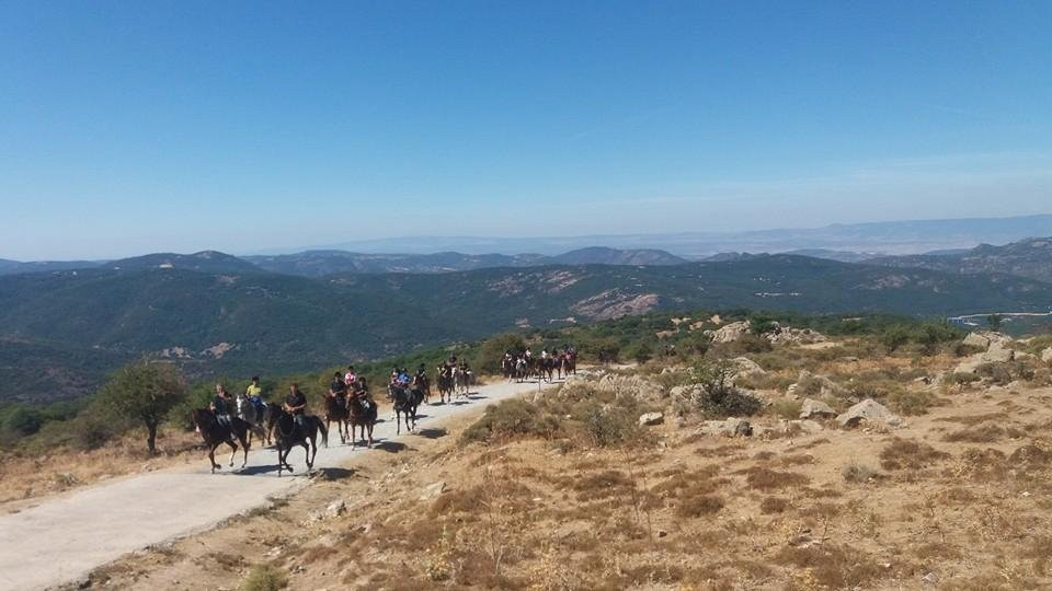 Centro Equestre Taloro-Fonni必去景点
