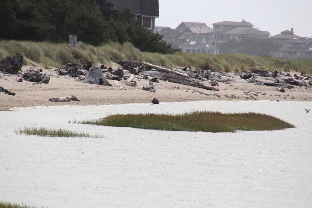 Siletz Bay Park-林肯城必去景点