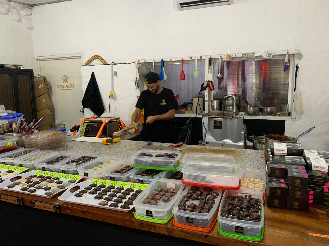 Chocolapagos Darwin's Favourites-阿约拉港必去景点