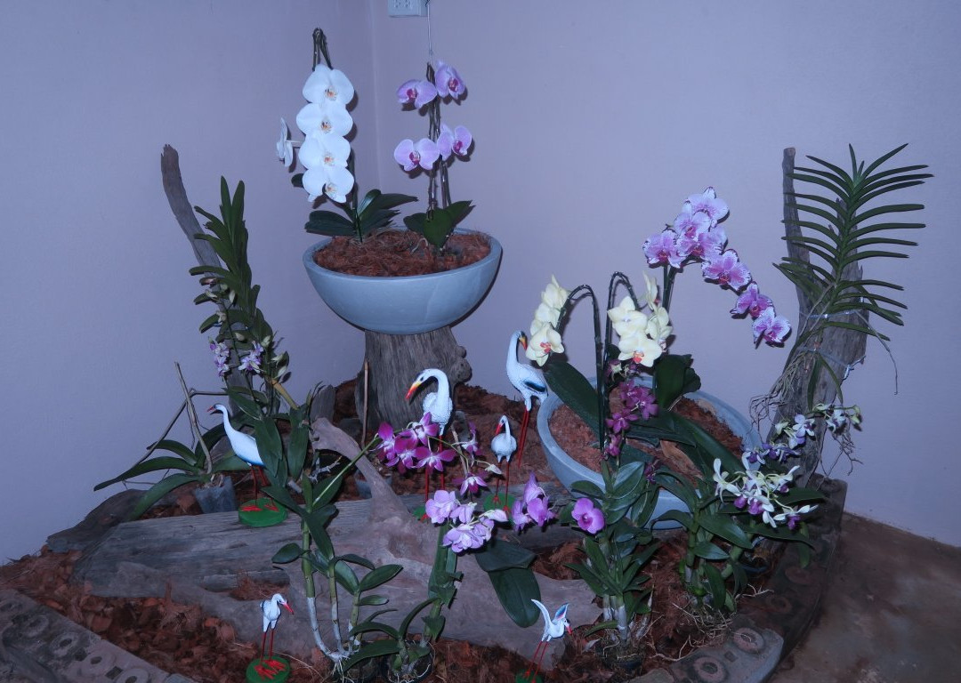 Orchid Garden Khaolak-库克卡克海滩必去景点