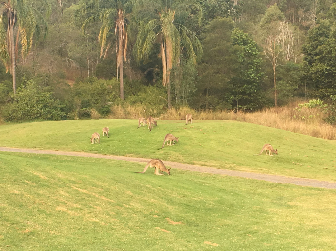 The Kooralbyn Valley主图