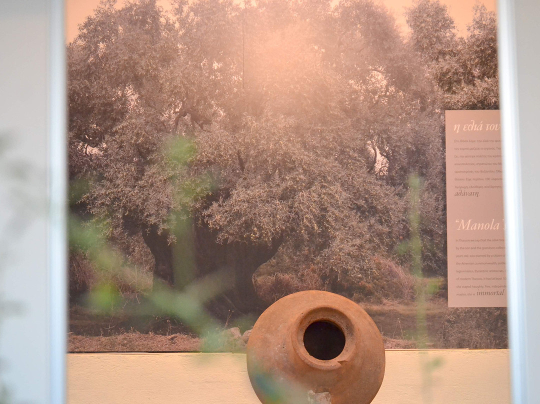 The Olive Oil Museum景点图片
