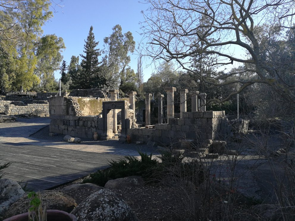 Ancient Katzrin Village and Synagogue景点图片