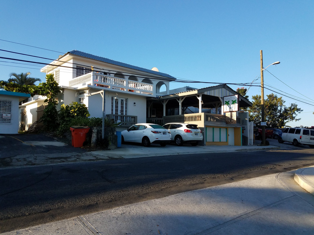 懒鹦鹉酒店主图