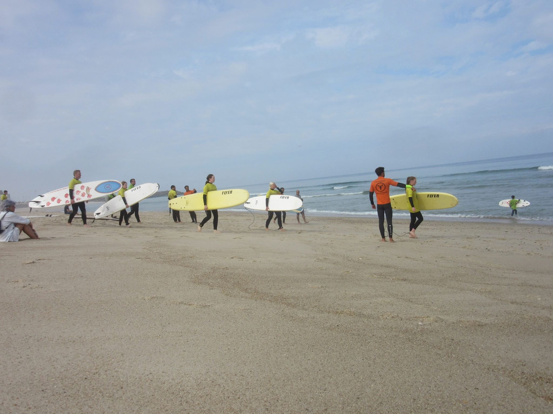 RedAnimal Surf Shop景点图片