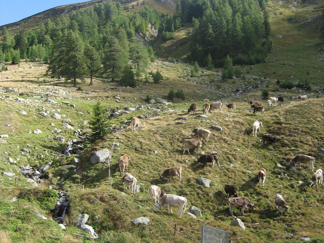 Splügen Pass-Splugen必去景点