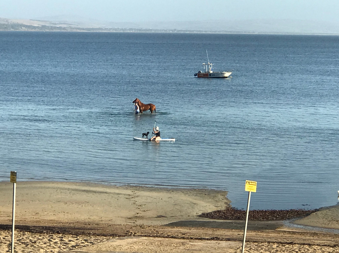 Tasman Beachside Apartments主图